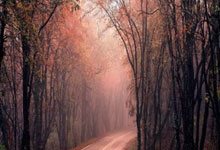 帕瓦尔：那不勒斯争冠压力比我们大；联赛和欧冠我全都要.