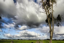 埃弗頓官宣前大連人外援龍東自由身加盟 追隨恩師而來.