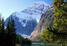 米兰体育：辽宁男篮官宣今夏签约全部完成 付豪顶薪续约2年.